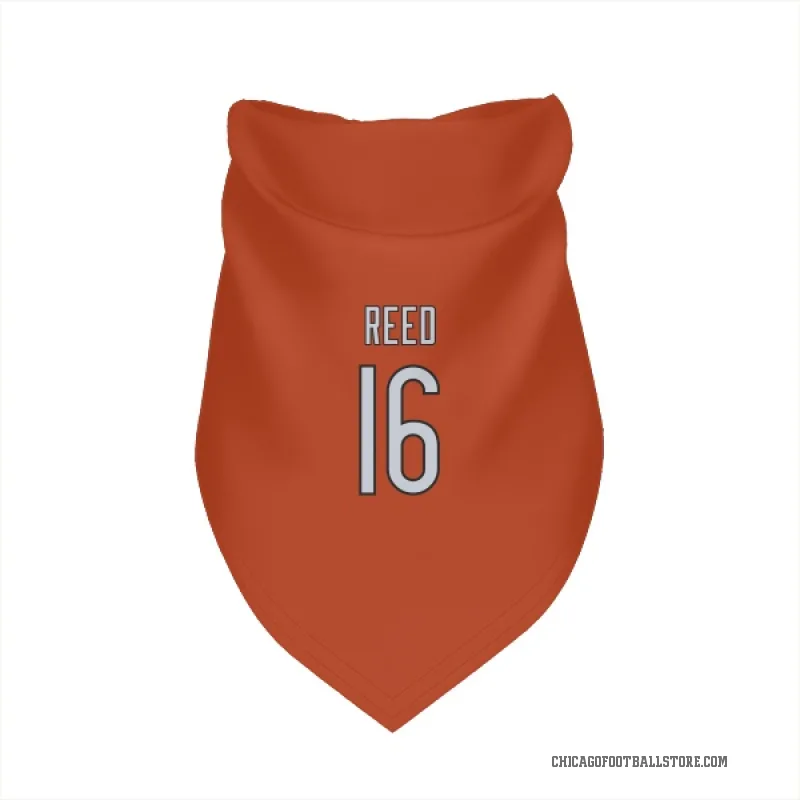 Austin Reed  Orange Chicago Bears  Cat & Dog Pet Bandana