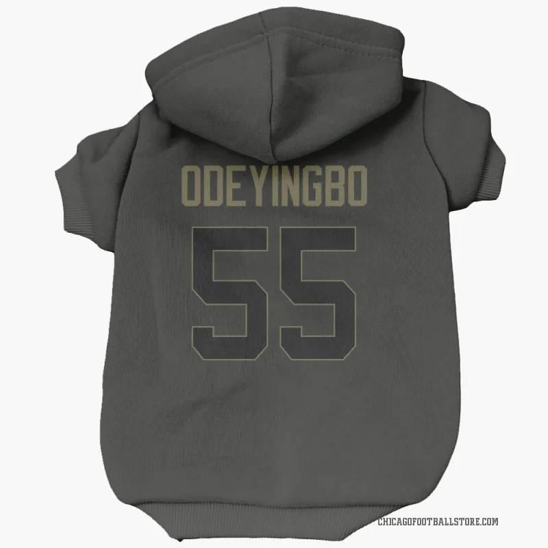 Dayo Odeyingbo  Black Chicago Bears  Service Cat & Dog Pet Hoodie