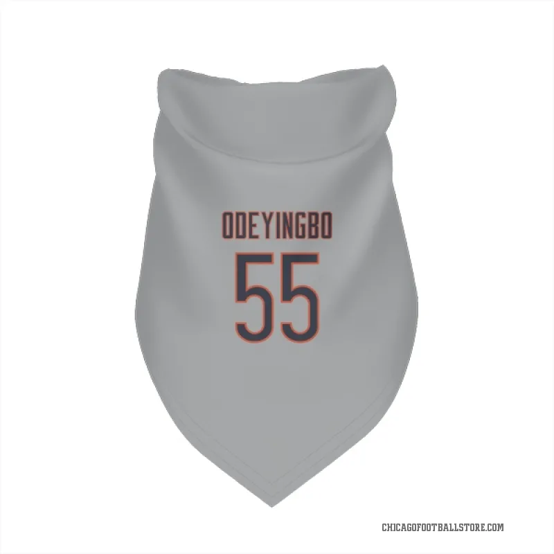 Dayo Odeyingbo  Chicago Bears   Silver Cat & Dog Pet Bandana