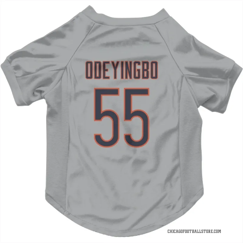Dayo Odeyingbo  Chicago Bears   Silver Cat & Dog Pet Jersey
