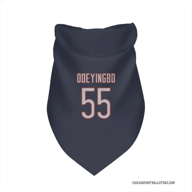 Dayo Odeyingbo  Navy Chicago Bears  Cat & Dog Pet Bandana