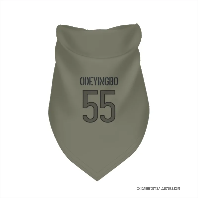 Dayo Odeyingbo  Olive Chicago Bears  Cat & Dog Pet Bandana