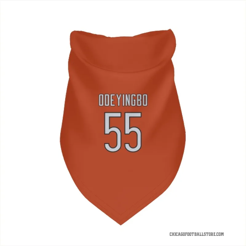 Dayo Odeyingbo  Orange Chicago Bears  Cat & Dog Pet Bandana