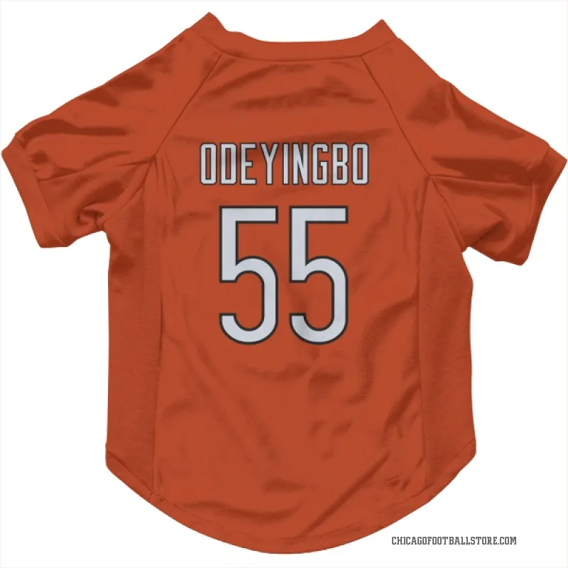 Dayo Odeyingbo  Orange Chicago Bears  Cat & Dog Pet Jersey