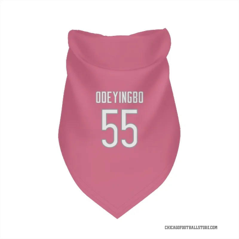 Dayo Odeyingbo  Pink Chicago Bears  Cat & Dog Pet Bandana