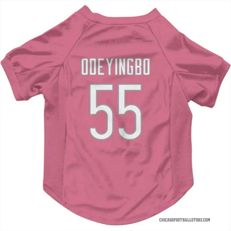 Dayo Odeyingbo  Pink Chicago Bears  Cat & Dog Pet Jersey