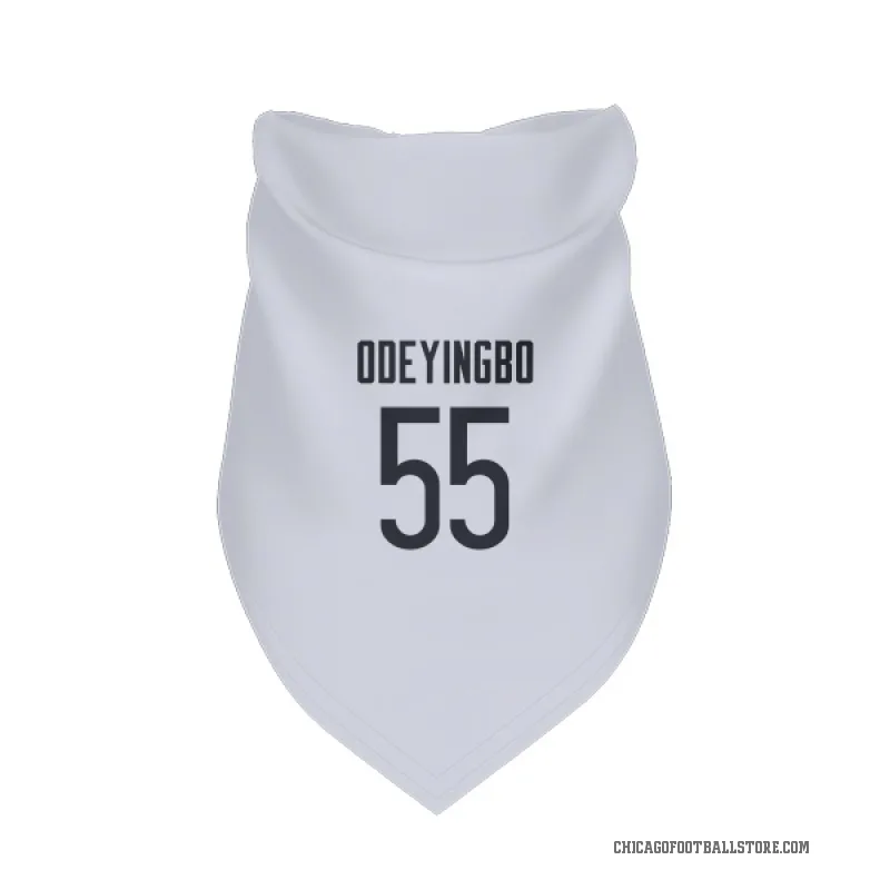 Dayo Odeyingbo  White Chicago Bears  Cat & Dog Pet Bandana